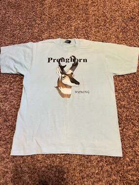 Vintage 90s Screen Stars Best Pronghorn Wyoming Nature T-Shirt Size L